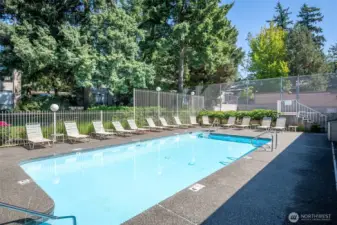 Enjoy the pool with your friends in the warm summr months.