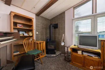 Newer gas fire place makes the living room cozy and warm.  Large windows.