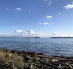 Community beach views toward Mt. Rainier.