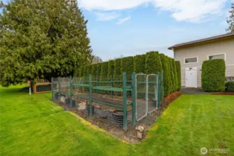 Vegetable and flower garden behind the greenhouse.  Side door to the right is located in the large shop.