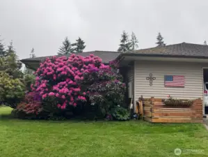 Mature landscaping and a smashing mix of color.  The decorative fence here hides the back up generator that will power the entire home if the storms should knock PSE out, you'll be good to go!