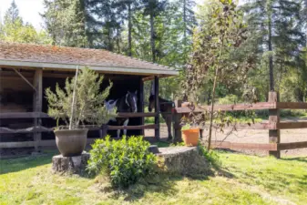 Two horse stalls shown here.  There are two others currently used as hay storage.