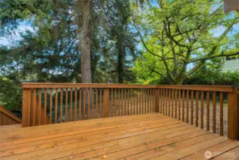 Alfresco dining and a quiet reprieve or recreation in the backyard.