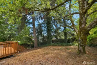 Expansive backyard