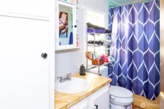 primary bathroom