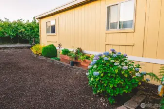 side property with garden area