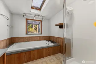 Standing shower and large soaking tub in the main bathroom filled with natural light.