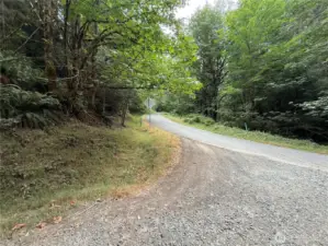 Kolisch Road