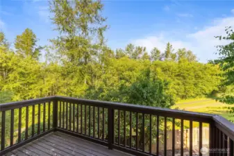 View from main floor deck