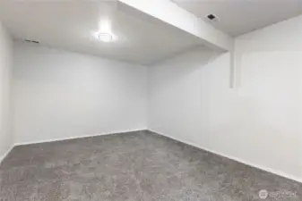 Bonus Area Downstairs