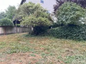 Looking at backside of side yard toward house