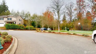 Basketball court across the street!