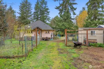 Mature fruit trees offering seasonal bounty