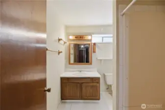 Lower level bathroom