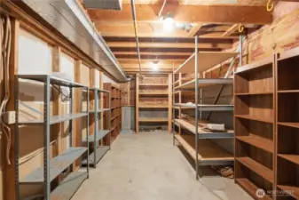 Large lower level storage area with shelving.