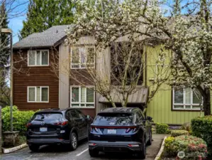 Nice mature trees and landscaping frames this condo complex.