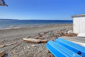 Madrona Beach is a Special Place~