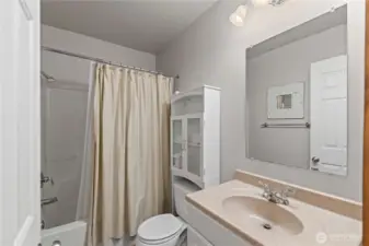 Lower level full bath
