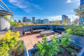 Rooftop lounge