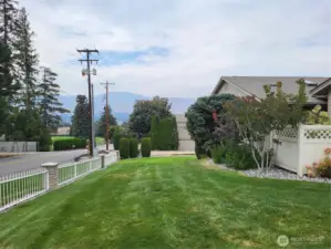 Beautiful Lush Green Yard
