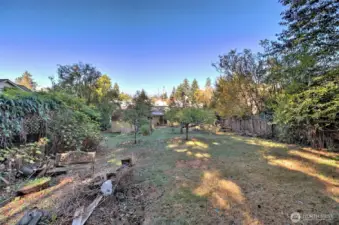 Check out this HUGE fenced back yard!