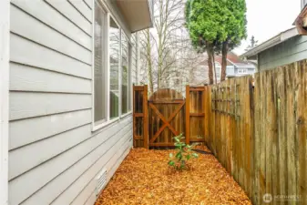 Side yard fenced for people and pets.