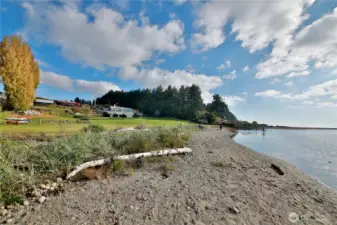 Sandy shores to walk and explore.