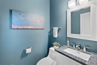Main floor bath with upgraded features and dual-flush toilet.