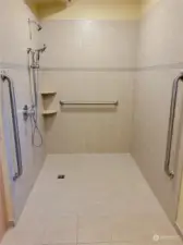 Walk in Shower