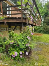 Deck back of house
