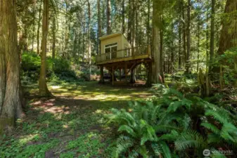 Tree house in the back yard will need a few repairs to make completely usable, but it's there to be improved upon with a little work.