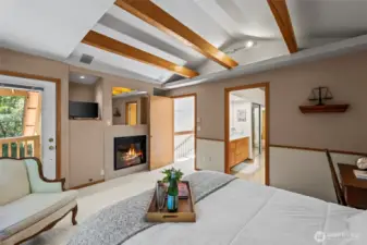 Primary gas fireplace