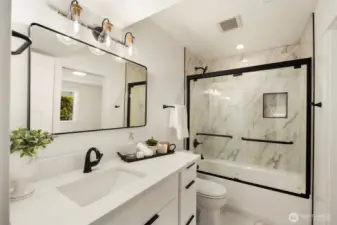 Lower level bathroom