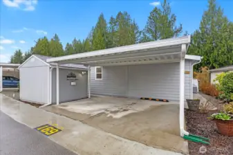 Large covered carport with storage shed