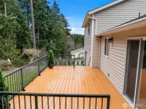 One of two french doors to back deck