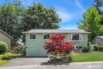 Mature landscaping with Mature Red Maple Tree, 60+ Tulip bulbs, 60+ Daffodil bulbs, Dwarf Blueberry, Rose of Sharon, Hydrangea, Snowball Bush, Strawberry Parfait, Weeping Flowering Cherry, Dwarf Japanese Lilac, and so much more…  2 raised garden beds to left of driveway – ready for planting  Water fountain feature / Secure mail box