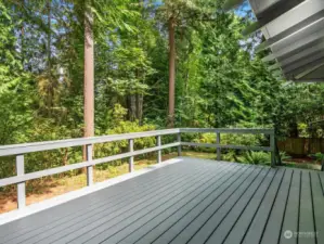 Great deck off kitchen is perfect for entertaining