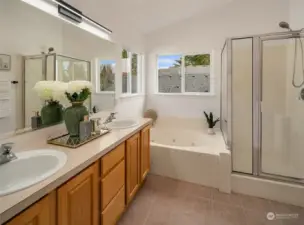 Owner Suite Bathroom with large tub and TWO walk-in closets!