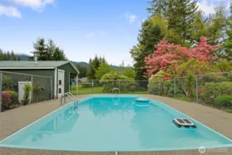 In Ground Pool