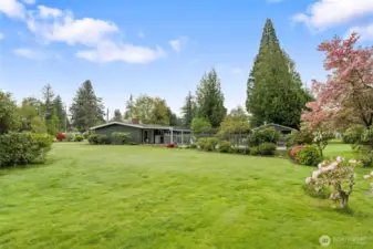 Beautiful, Large, Level Yard