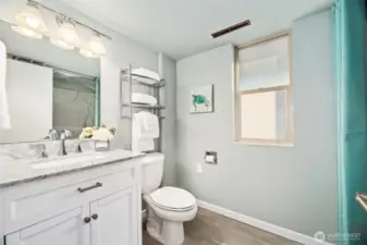 The 3/4 bathroom on the lower level.