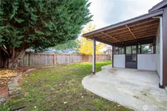 Covered back patio
