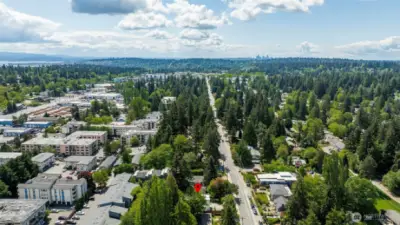 No car needed to get to shopping, restaurants & parks.