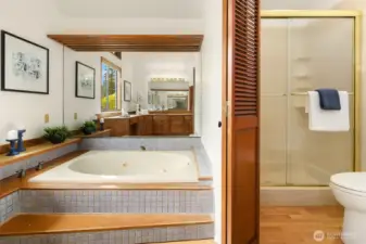 Primary suite with tub and shower.