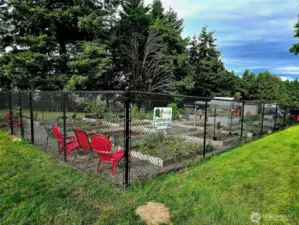 Community garden.
