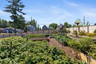 urban oasis