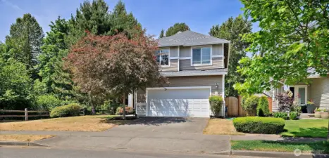 Great Curb Appeal