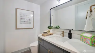 Lower level powder room across the hall from the mud room.