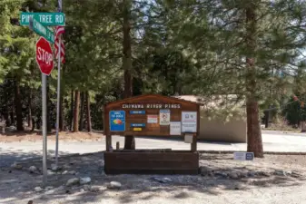 Chiwawa River Pines