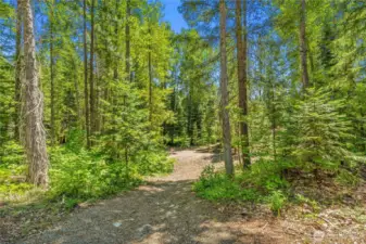 Community green space trail